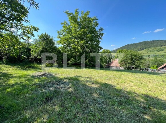 Casa de vânzare 2 camere Exterior Nord - 119384CV | BLITZ Cluj-Napoca | Poza3