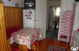 Apartament 3 camere, 65 mp, zona strazii Viilor, parter