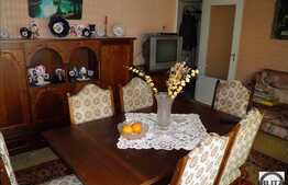 Apartament 3 camere, 65 mp, zona strazii Viilor, parter