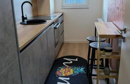 Apartament 2 camere, 41mp, decomandat, gradina de 50 mp, zona Somesului