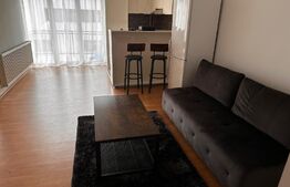Apartament 2 camere, 50 mp, balcon, zona Calea Turzii