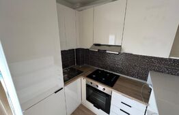 Apartament 2 camere, 50 mp, balcon, zona Calea Turzii
