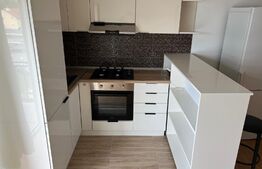 Apartament 2 camere, 50 mp, balcon, zona Calea Turzii