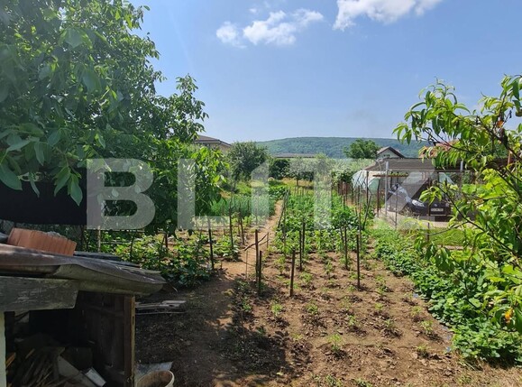 Casa de vânzare 2 camere Gilău - 119489CV | BLITZ Cluj-Napoca | Poza7