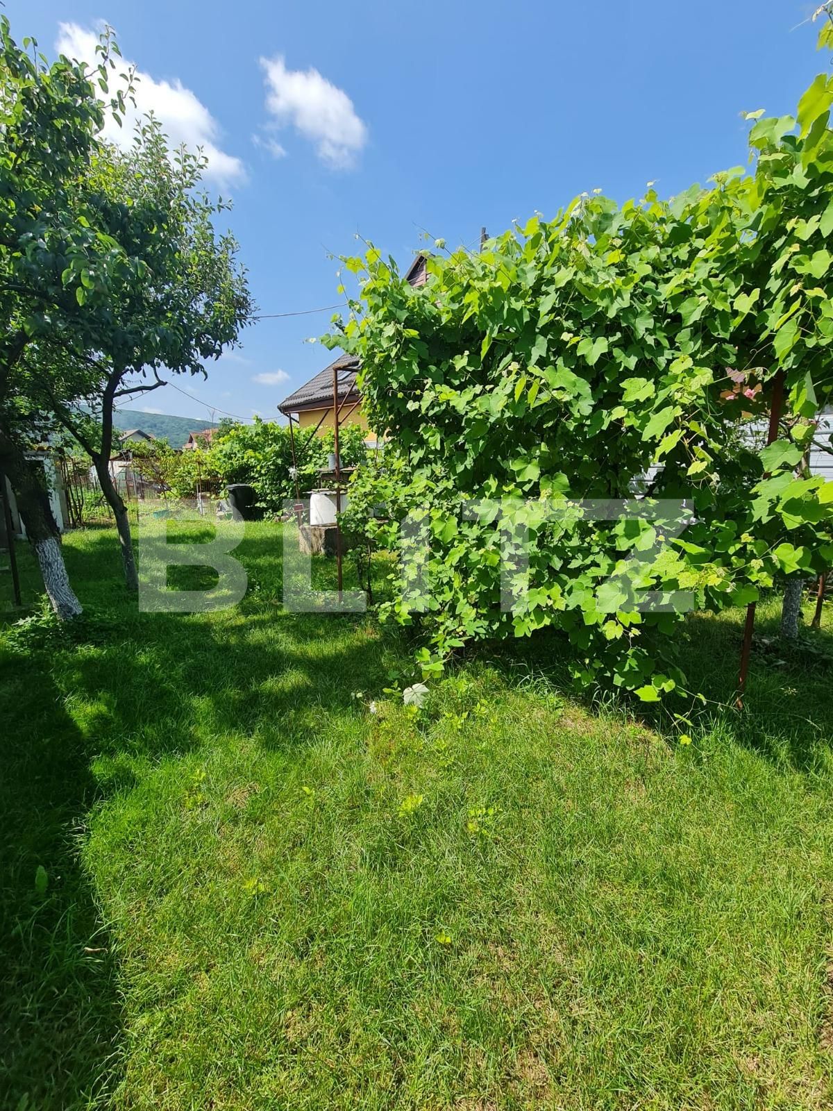 Casa de vânzare 2 camere Gilău - 119489CV | BLITZ Cluj-Napoca | Poza6