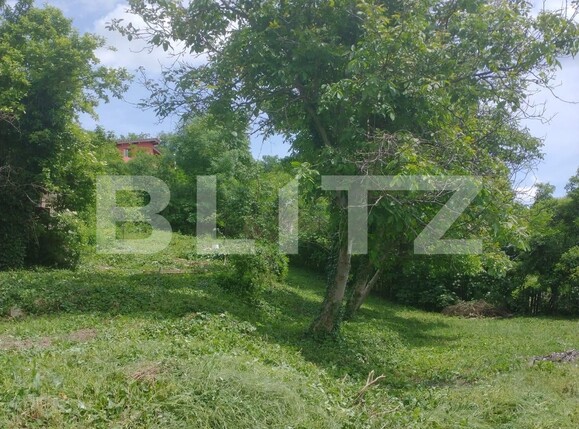 Casa de vânzare 2 camere Baciu - 119502CV | BLITZ Cluj-Napoca | Poza16