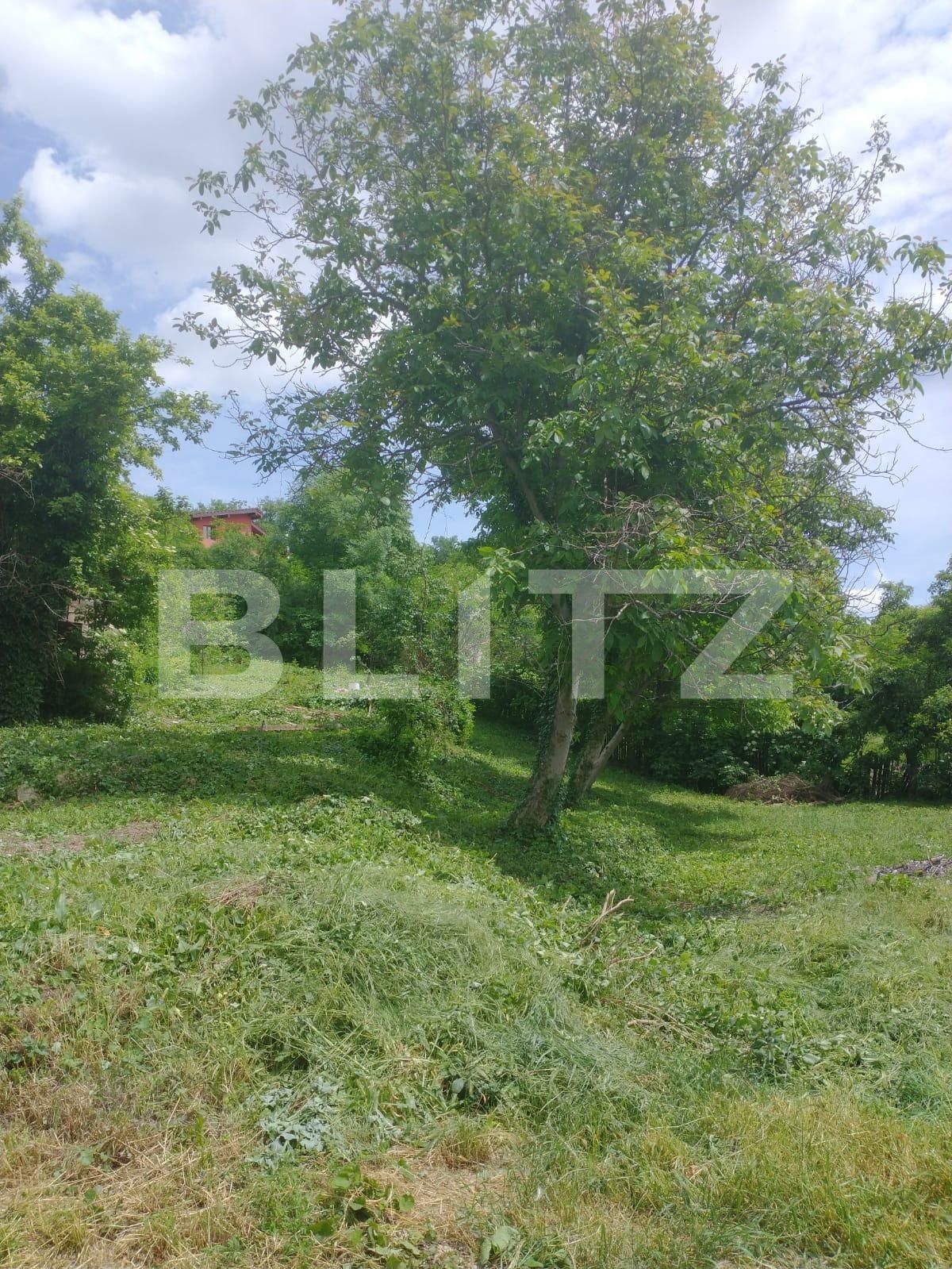 Casa de vânzare 2 camere Baciu - 119502CV | BLITZ Cluj-Napoca | Poza16