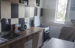 Garsoniera, 30mp, centrală proprie, renovată complet, aer condiționat, zona Bartolomeu