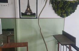 Garsoniera, 30mp, centrală proprie, renovată complet, aer condiționat, zona Bartolomeu