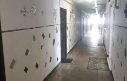 Garsoniera, 30mp, centrală proprie, renovată complet, aer condiționat, zona Bartolomeu