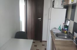 Garsoniera, 30mp, centrală proprie, renovată complet, aer condiționat, zona Bartolomeu