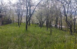 Teren 1000 mp, Grigorescu, zona Uliului