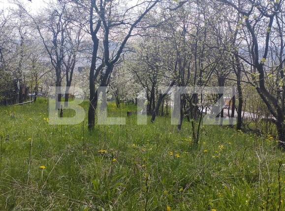 Teren de vânzare Grigorescu - 119518TV | BLITZ Cluj-Napoca | Poza1