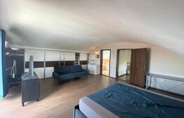 Penthouse 140 mp, terasa, 2 garaje, zona strazii Trifoiului