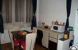 Apartament 1 camera, semidecomandat, 32 mp utili, parcare, in zona Dambovitei