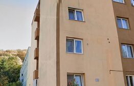 Investitie! Garsoniera locuibila, 24 mp, zona centrala langa Afi Mall 