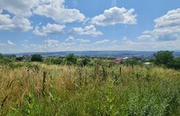 Teren, 1000 mp, Iris