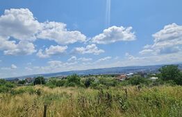 Teren, 1000 mp, Iris