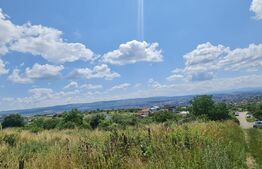 Teren, 1000 mp, Iris