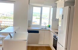 Apartament 3 camere, mobilat modern, 55mp, zona Piata 1 Mai