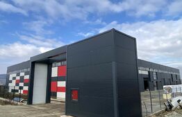 Hala industriala cu birouri: 3000 mp utili, 5000 mp teren, Jucu