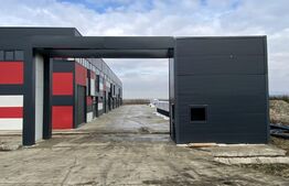 Hala industriala cu birouri: 3000 mp utili, 5000 mp teren, Jucu