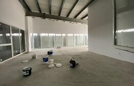 Hala industriala cu birouri: 3000 mp utili, 5000 mp teren, Jucu