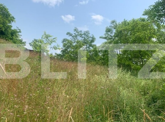 Teren de vânzare Exterior Vest - 119711TV | BLITZ Cluj-Napoca | Poza3
