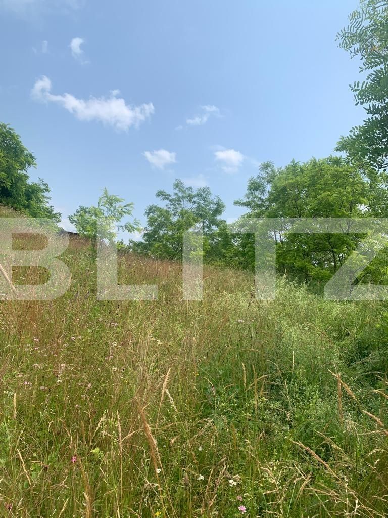 Teren de vânzare Exterior Vest - 119711TV | BLITZ Cluj-Napoca | Poza3