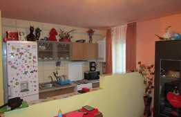 Apartament cu 2 camere, 54 mp utili, zona strazii Stejarului! Parcare cu CF!