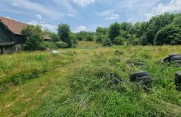 Casa individuala 140 mp cu teren 14660 mp  - posibilitate de investiție, Suceagu