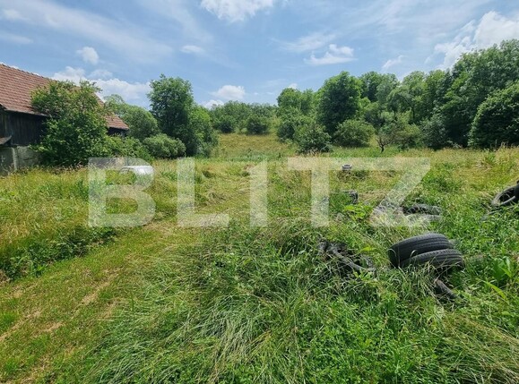 Casa de vânzare 5 camere Suceagu - 119763CV | BLITZ Cluj-Napoca | Poza4