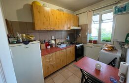 Apartament 2 camere, 40 mp, pet friendly, balcon, zona USAMV