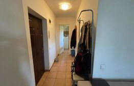 Apartament 2 camere, 40 mp, pet friendly, balcon, zona USAMV