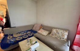 Apartament 2 camere, 40 mp, pet friendly, balcon, zona USAMV