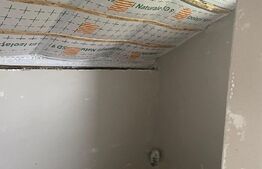 Casa individuala, 3 camere, 920 mp curte, Salistea Noua