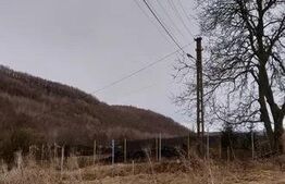 Teren intravilan, 1295 mp, Salicea