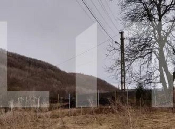 Teren de vânzare Salicea - 119784TV | BLITZ Cluj-Napoca | Poza1