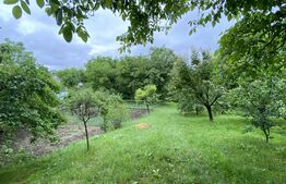 Proprietate speciala: Casa individuala 200 mp utili si 2550 mp teren, Auchan Iris