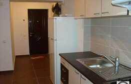 1 camera, 45 mp, mobilat modern, imobil nou, parcare optionala, zona strazii Calea Turzii!