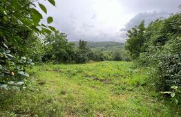 Teren intravilan, 1500 mp, asfalt si utilitati la frontul terenului, Turda - Badeni