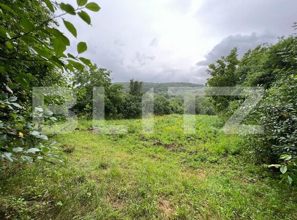 Teren de vânzare Exterior Sud - 119844TV | BLITZ Cluj-Napoca | Poza3