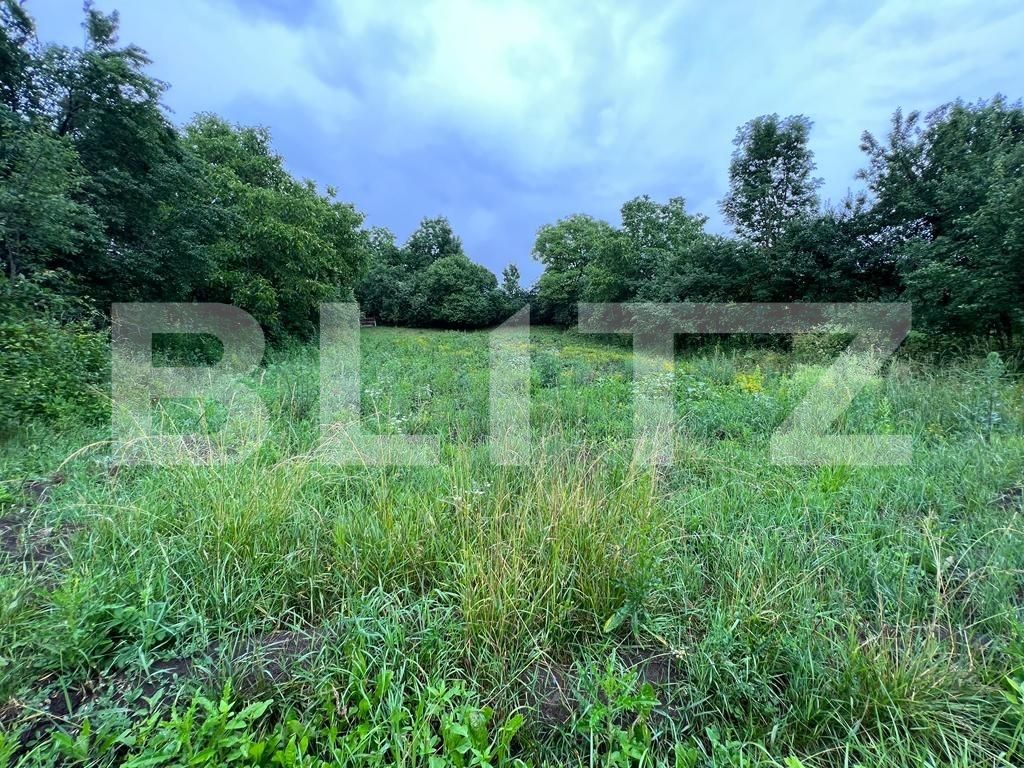 Teren de vânzare Exterior Sud - 119844TV | BLITZ Cluj-Napoca | Poza2