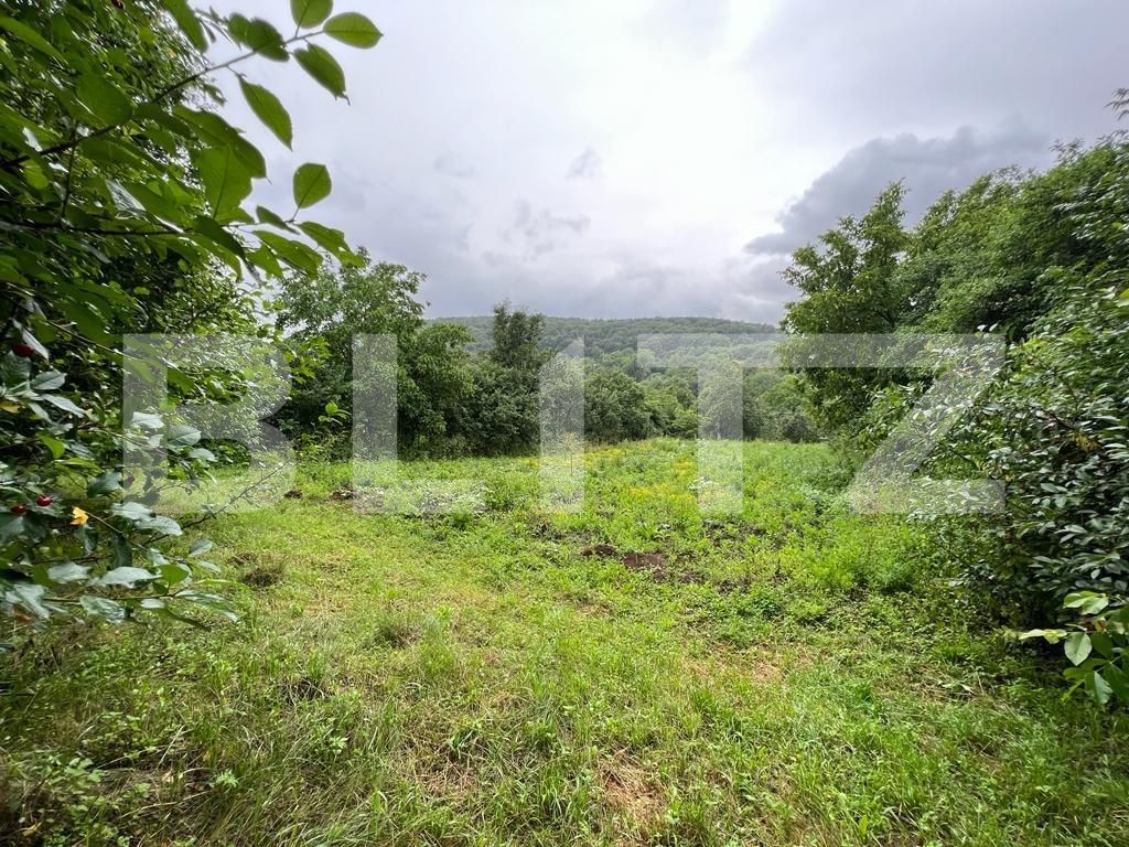 Teren de vânzare Exterior Sud - 119844TV | BLITZ Cluj-Napoca | Poza3