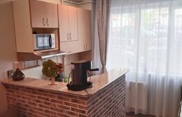 Garsoniera, 21mp, Dambul Rotund 