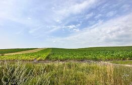 PONT! 8700mp teren, extravilan, 45ml front stradal, CF, Tureni