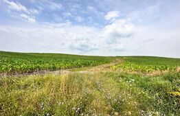 PONT! 8700mp teren, extravilan, 45ml front stradal, CF, Tureni