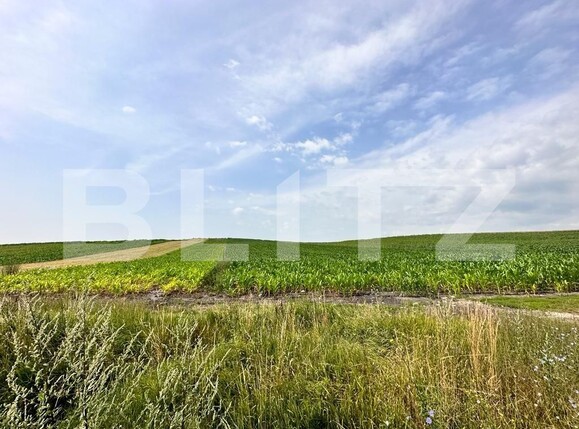 Teren de vânzare  - 119900TV | BLITZ Cluj-Napoca | Poza2
