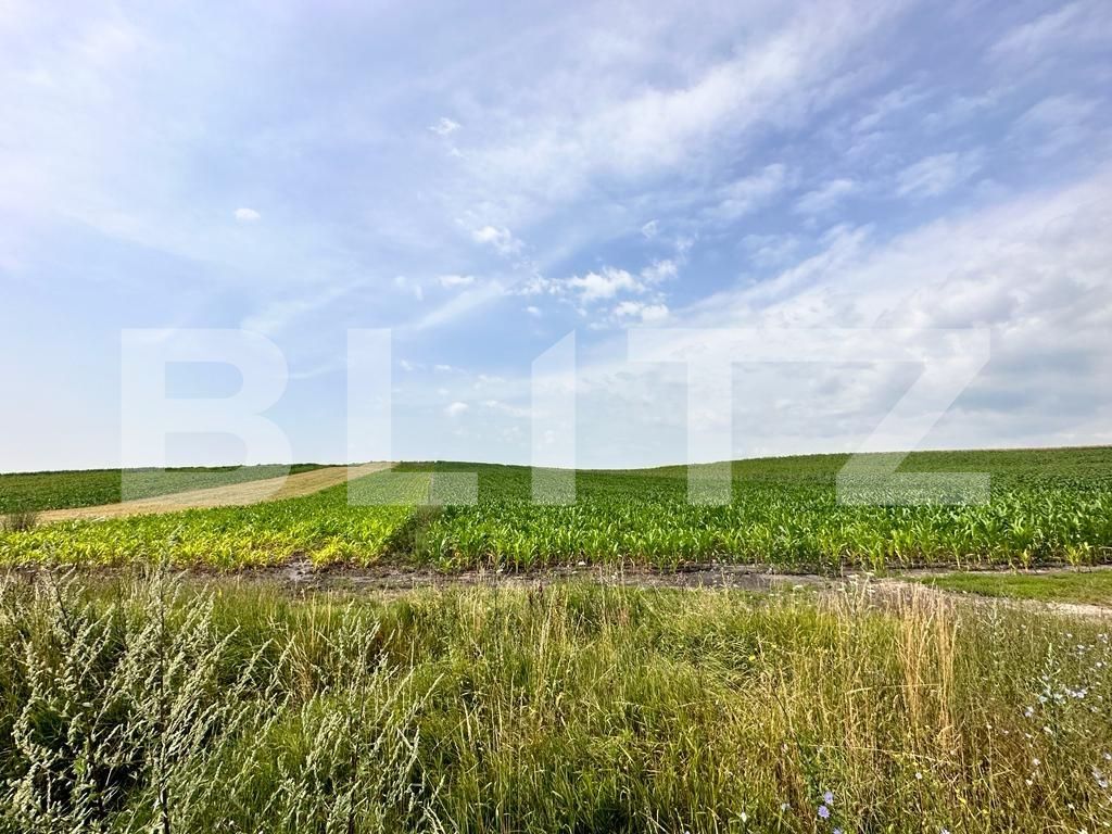 Teren de vânzare  - 119900TV | BLITZ Cluj-Napoca | Poza2