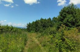 Teren 1500 mp, cu PUZ finalizat, Salicea